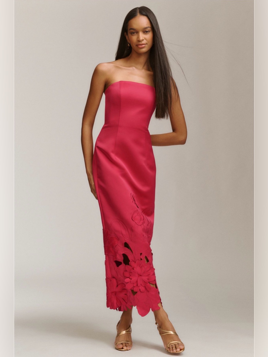 Rayna Appliqu Bustier Maxi Dress In Rosa Nwt